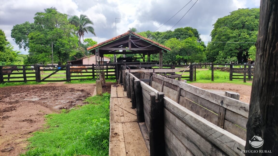 Fazenda à venda com 1 quarto, 7889200m² - Foto 14