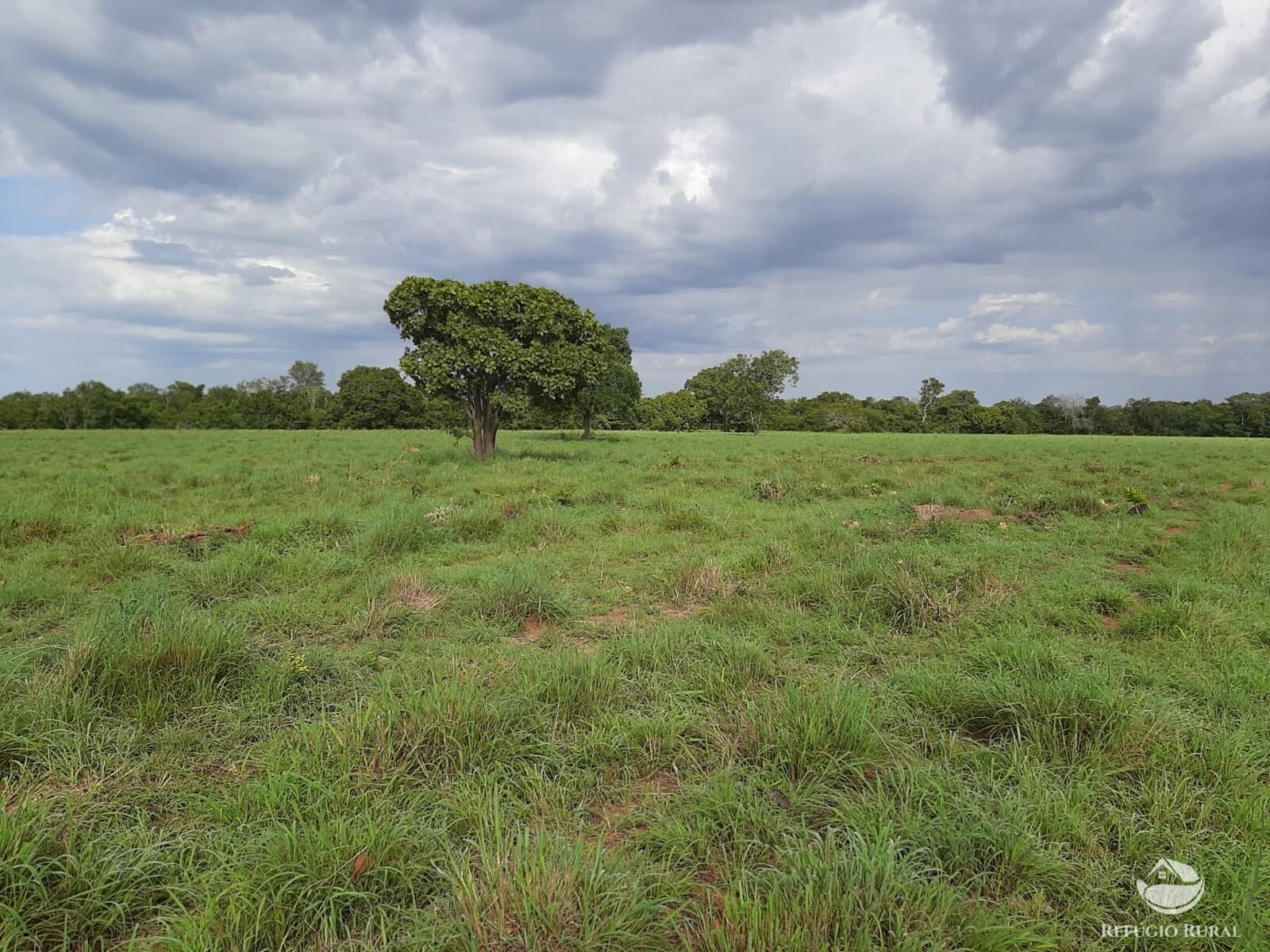 Fazenda à venda com 1 quarto, 7889200m² - Foto 23