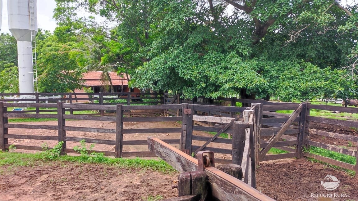 Fazenda à venda com 1 quarto, 7889200m² - Foto 20