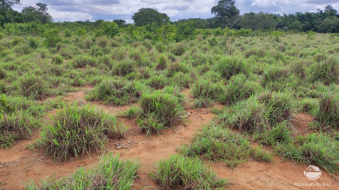 Fazenda à venda com 1 quarto, 7889200m² - Foto 10