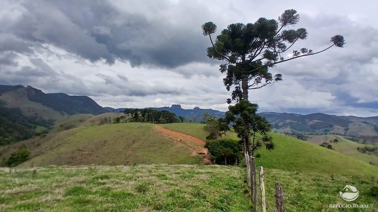 Terreno, 17 hectares - Foto 30