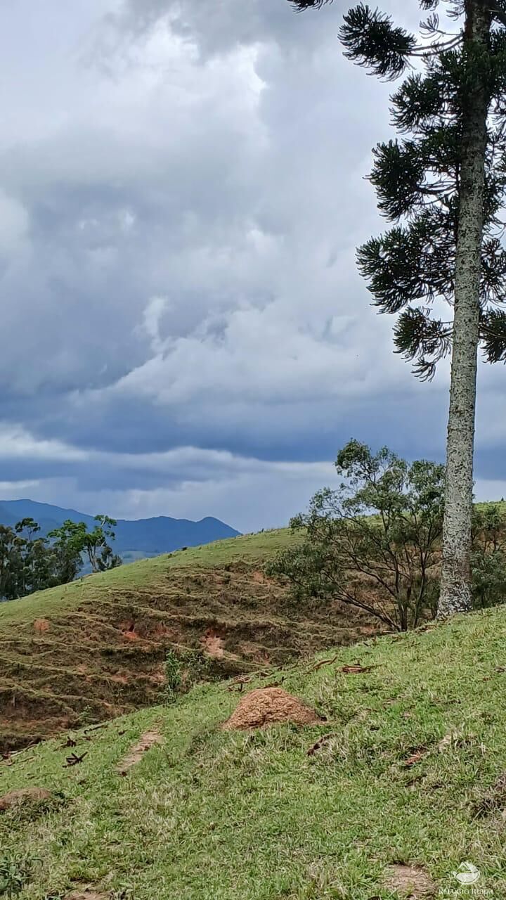 Terreno, 17 hectares - Foto 31