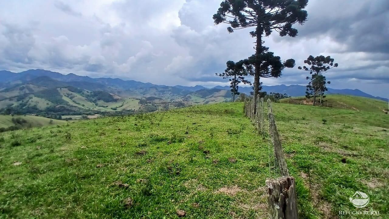 Terreno, 17 hectares - Foto 3