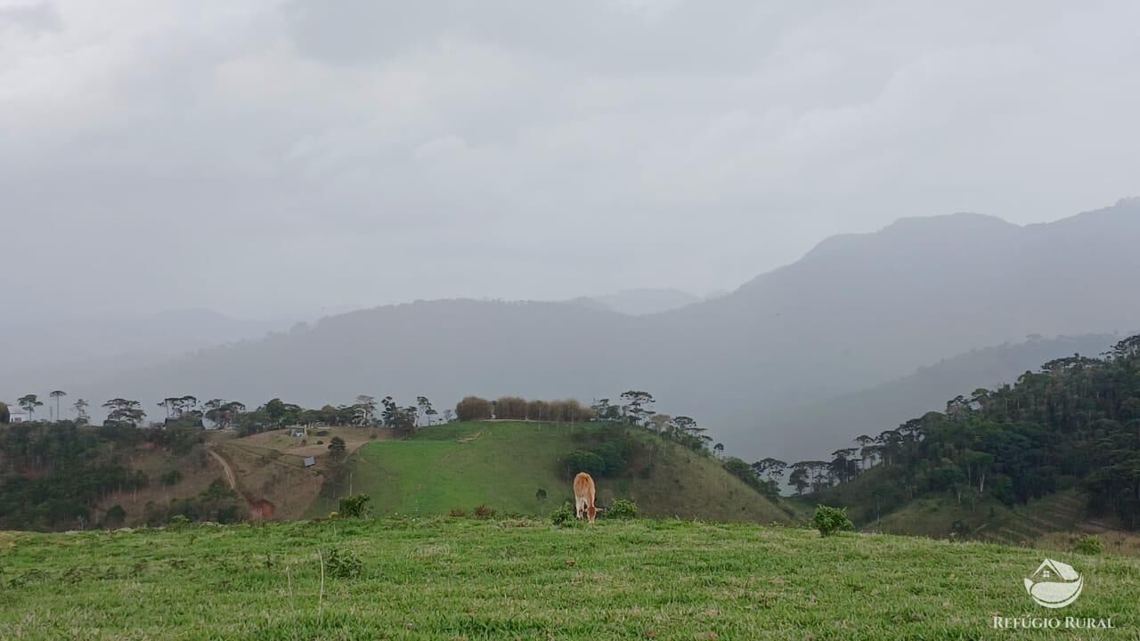 Terreno, 17 hectares - Foto 20