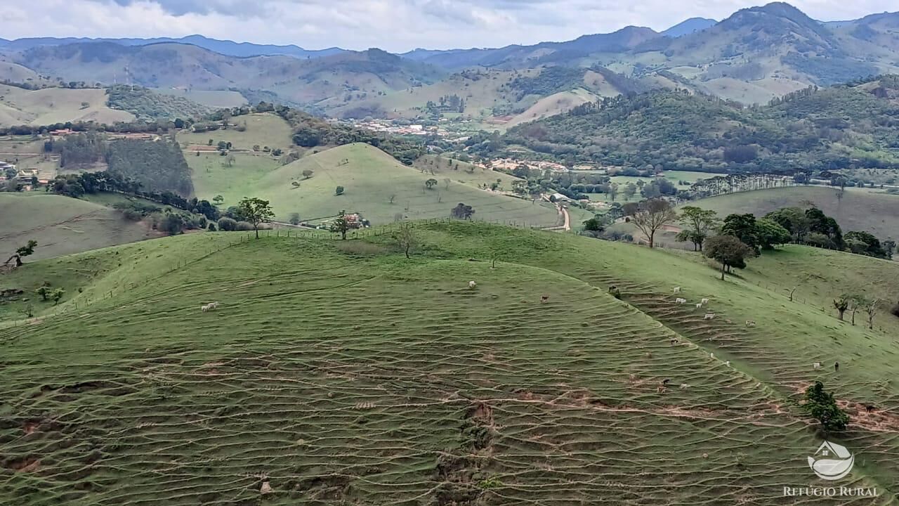 Terreno, 17 hectares - Foto 13