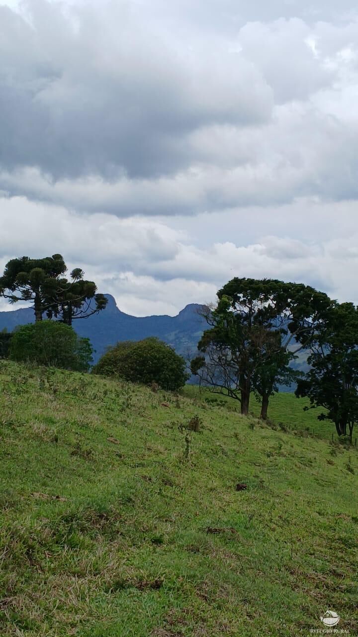 Terreno, 17 hectares - Foto 2