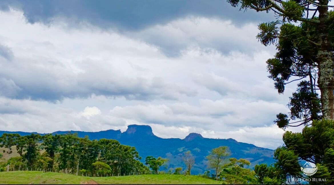 Terreno, 17 hectares - Foto 1