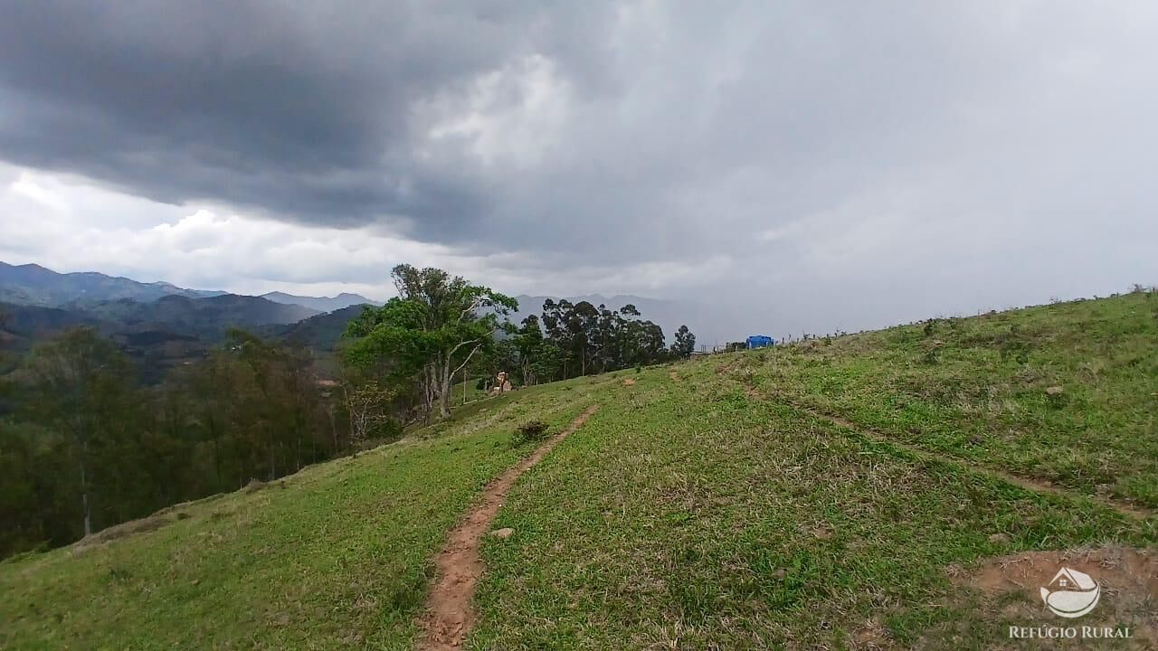 Terreno, 17 hectares - Foto 10