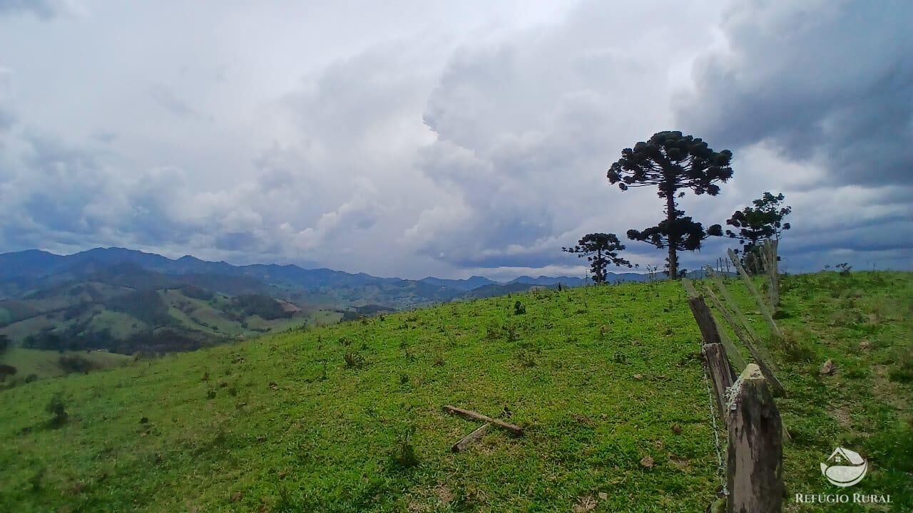 Terreno, 17 hectares - Foto 29