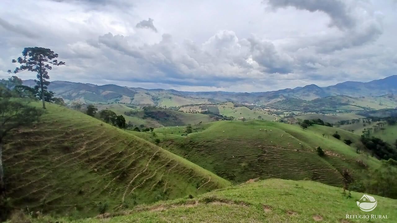 Terreno, 17 hectares - Foto 7