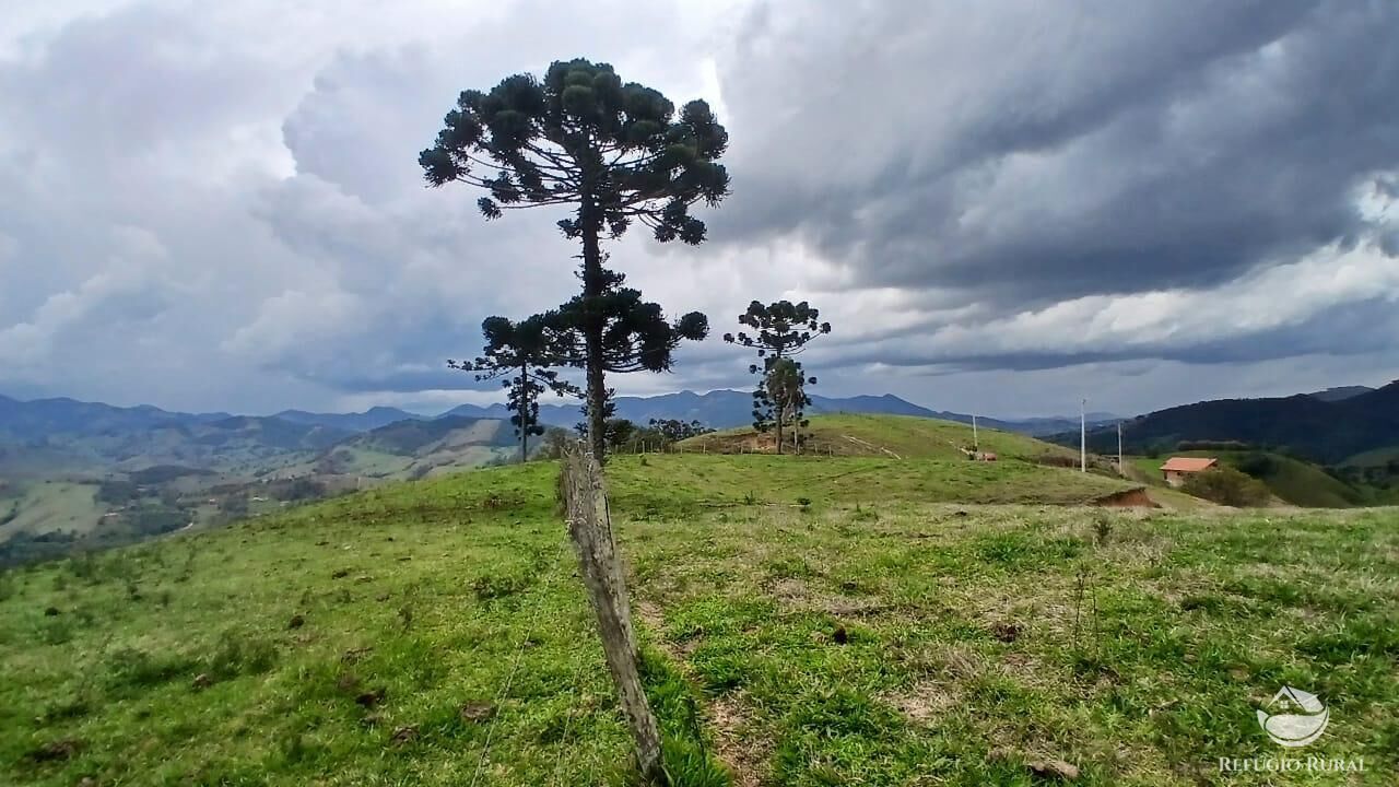 Terreno, 17 hectares - Foto 26