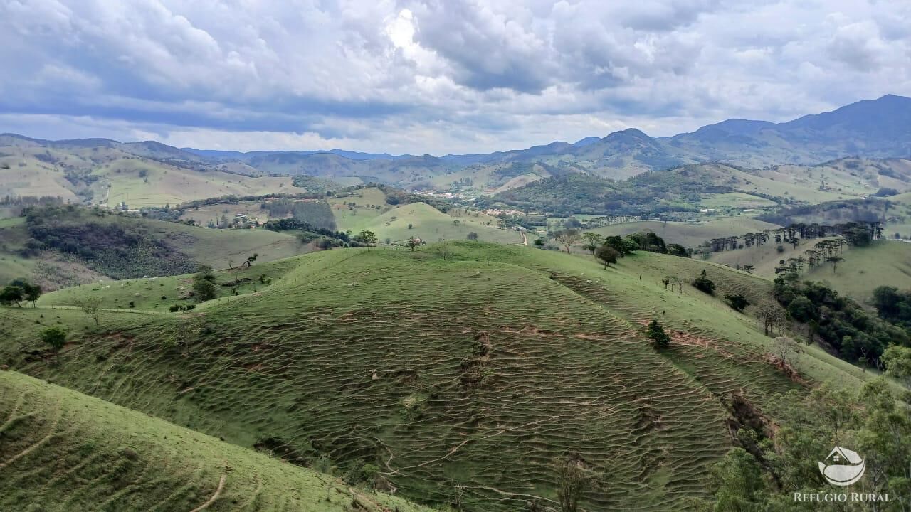 Terreno, 17 hectares - Foto 14