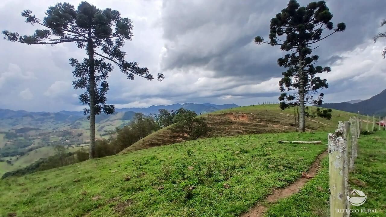 Terreno, 17 hectares - Foto 21