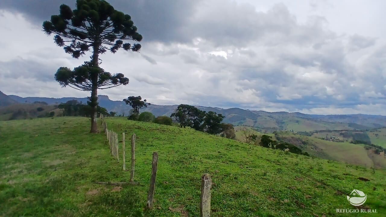 Terreno, 17 hectares - Foto 4