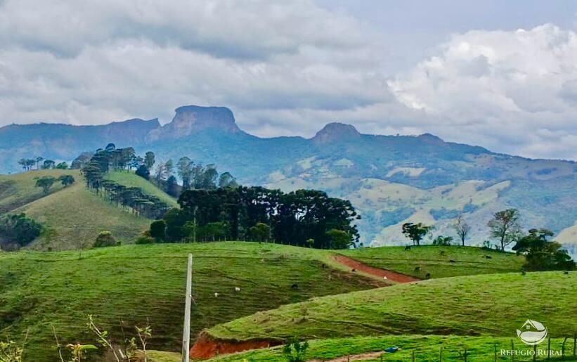 Terreno, 17 hectares - Foto 32