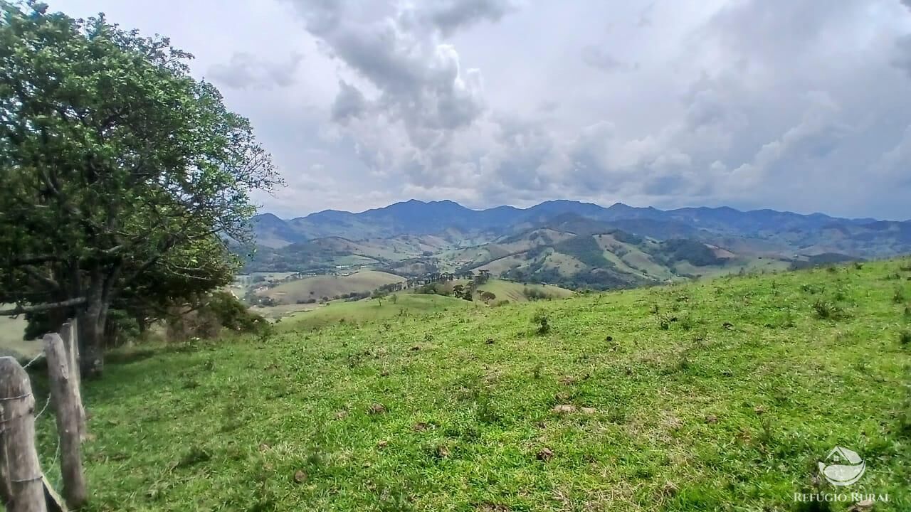 Terreno, 17 hectares - Foto 27