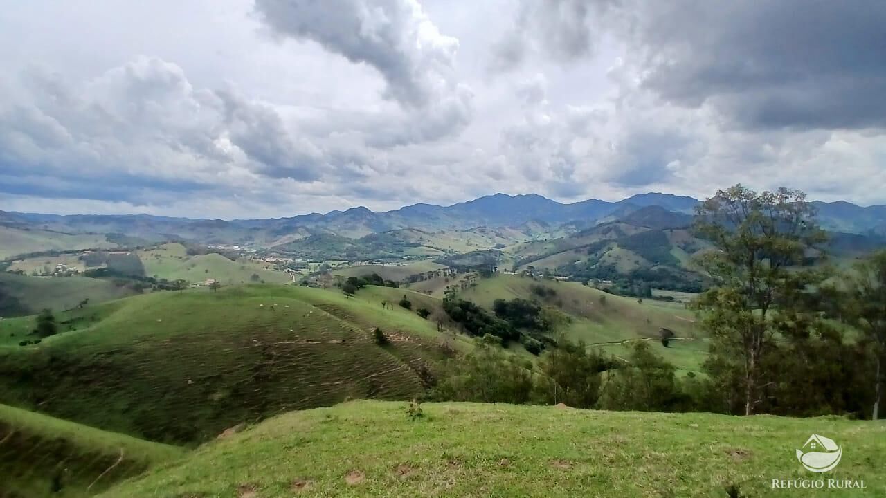 Terreno, 17 hectares - Foto 8