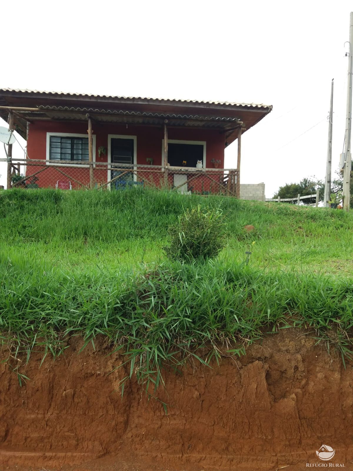 Fazenda à venda com 3 quartos, 870m² - Foto 17