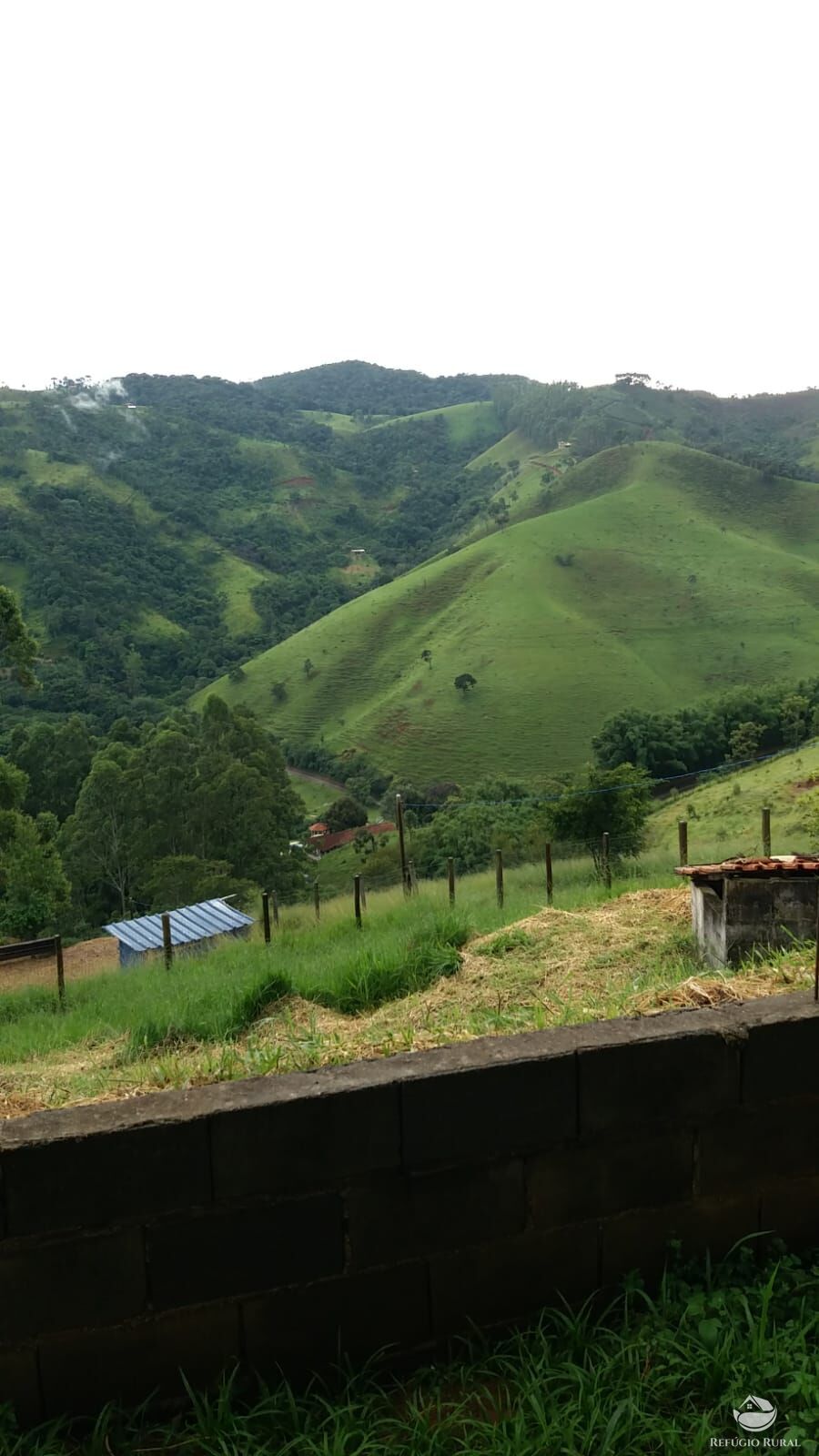 Fazenda à venda com 3 quartos, 870m² - Foto 3