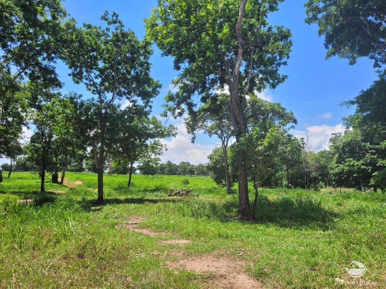 Fazenda à venda com 2 quartos, 15400000m² - Foto 16