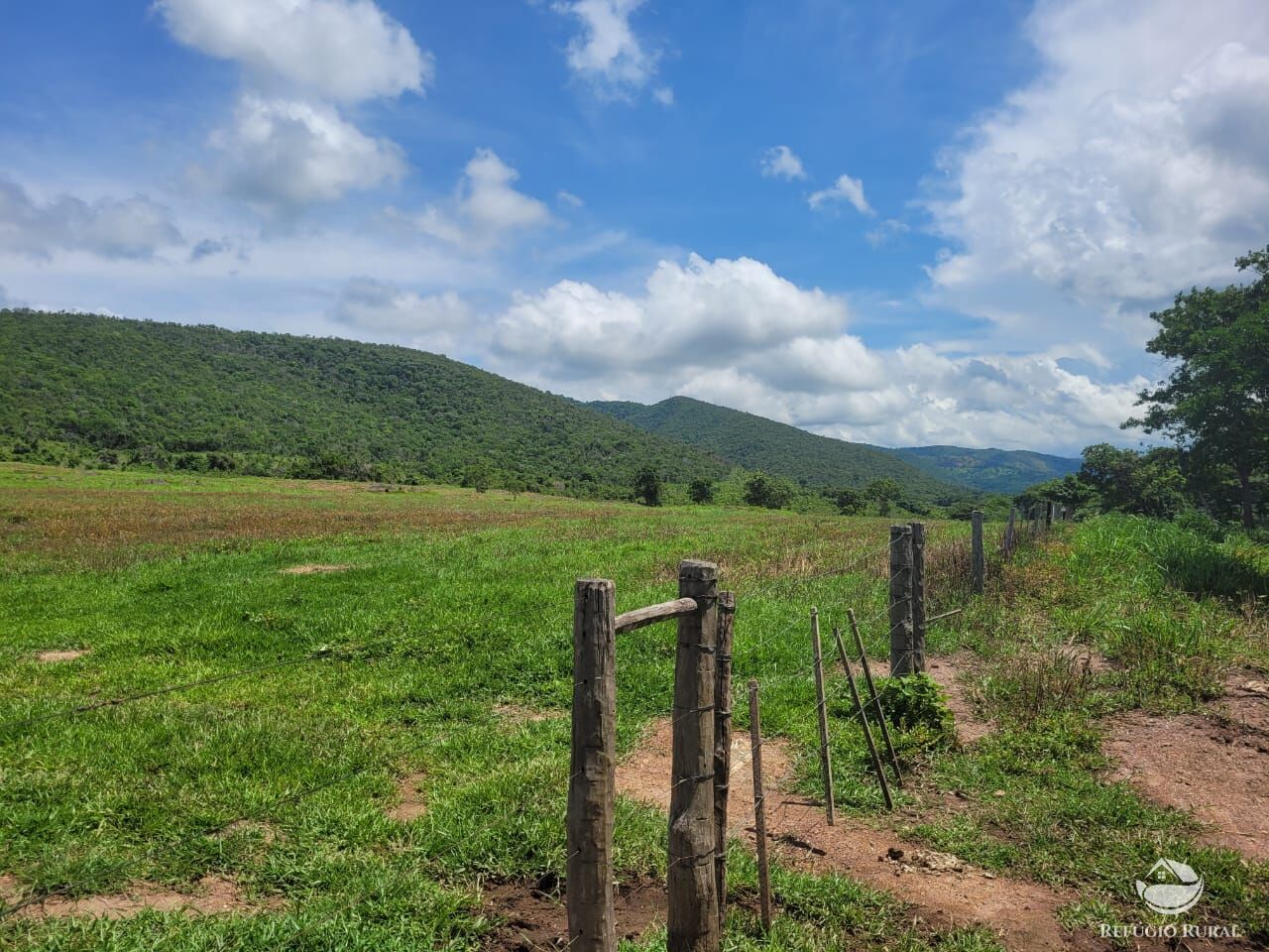 Fazenda à venda com 2 quartos, 15400000m² - Foto 11