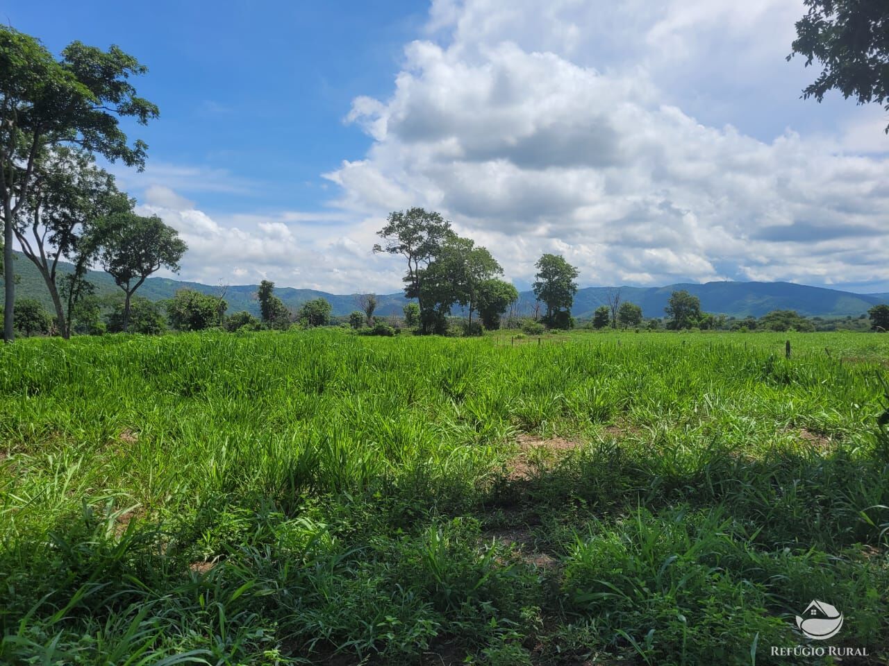 Fazenda à venda com 2 quartos, 15400000m² - Foto 19