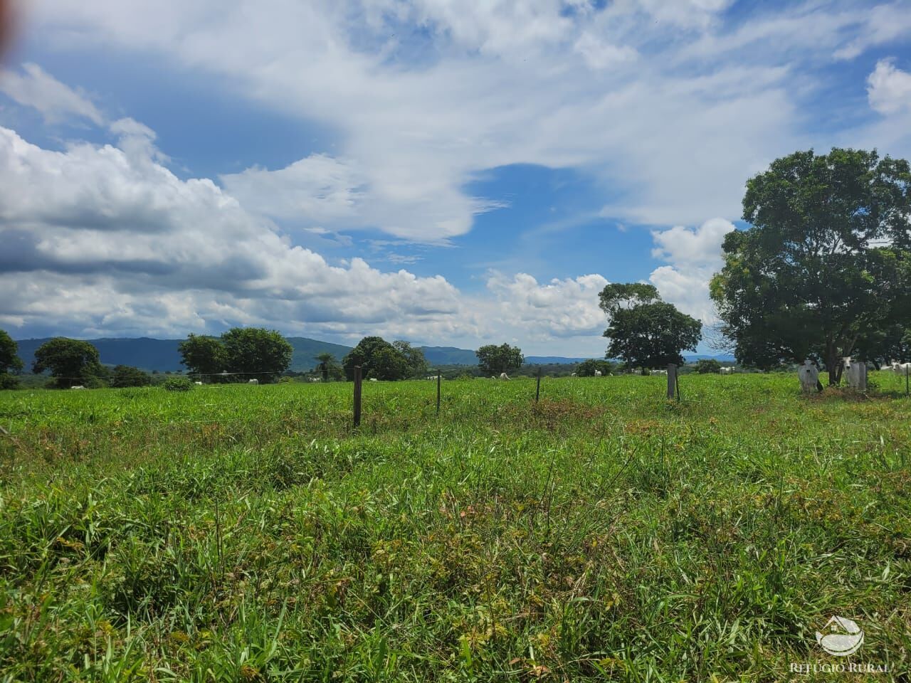 Fazenda à venda com 2 quartos, 15400000m² - Foto 18