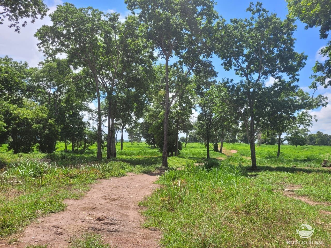 Fazenda à venda com 2 quartos, 15400000m² - Foto 3