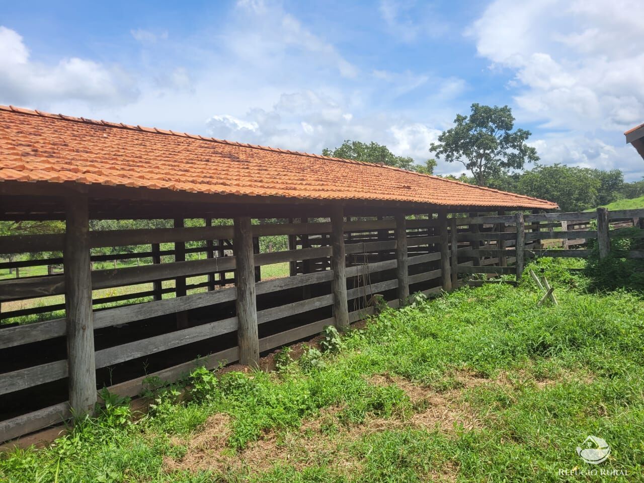 Fazenda à venda com 2 quartos, 15400000m² - Foto 6