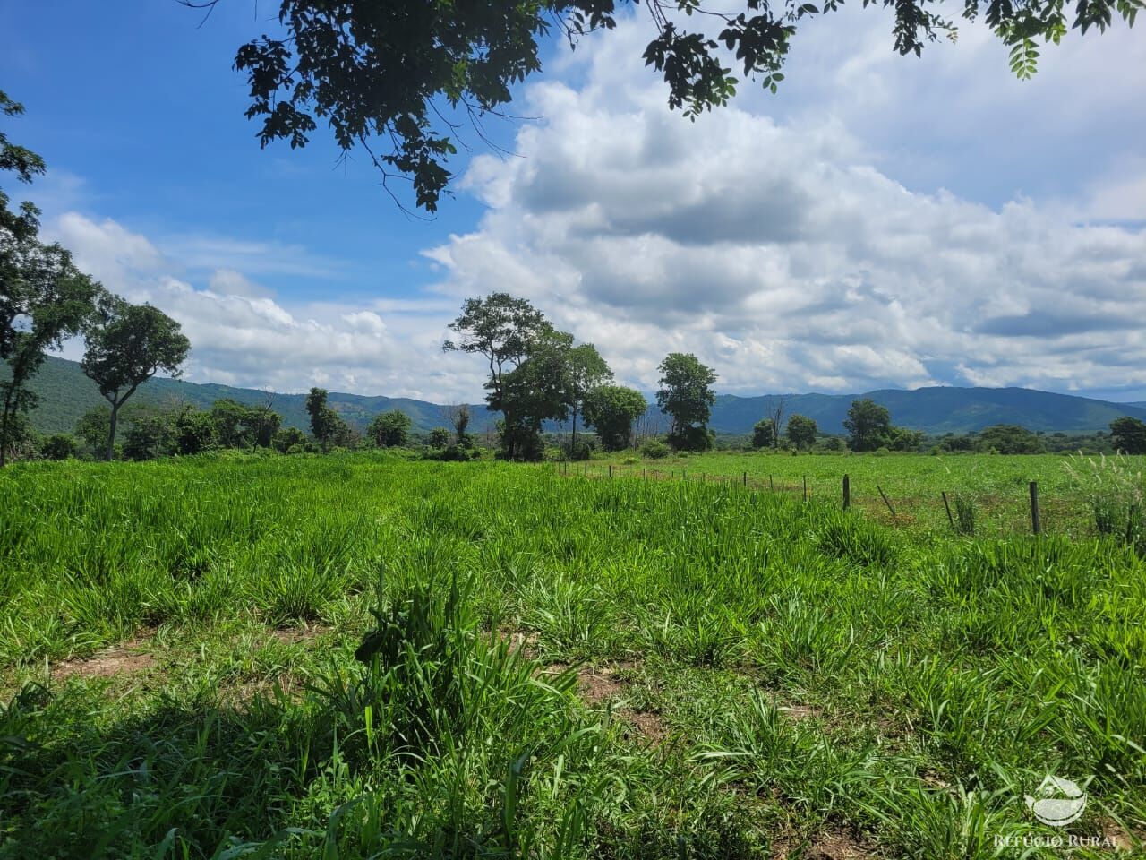 Fazenda à venda com 2 quartos, 15400000m² - Foto 7