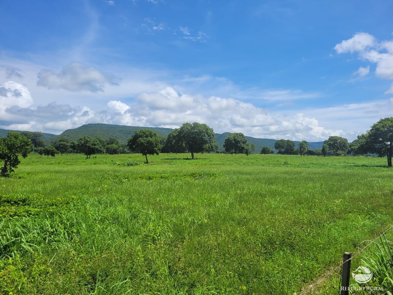 Fazenda à venda com 2 quartos, 15400000m² - Foto 2