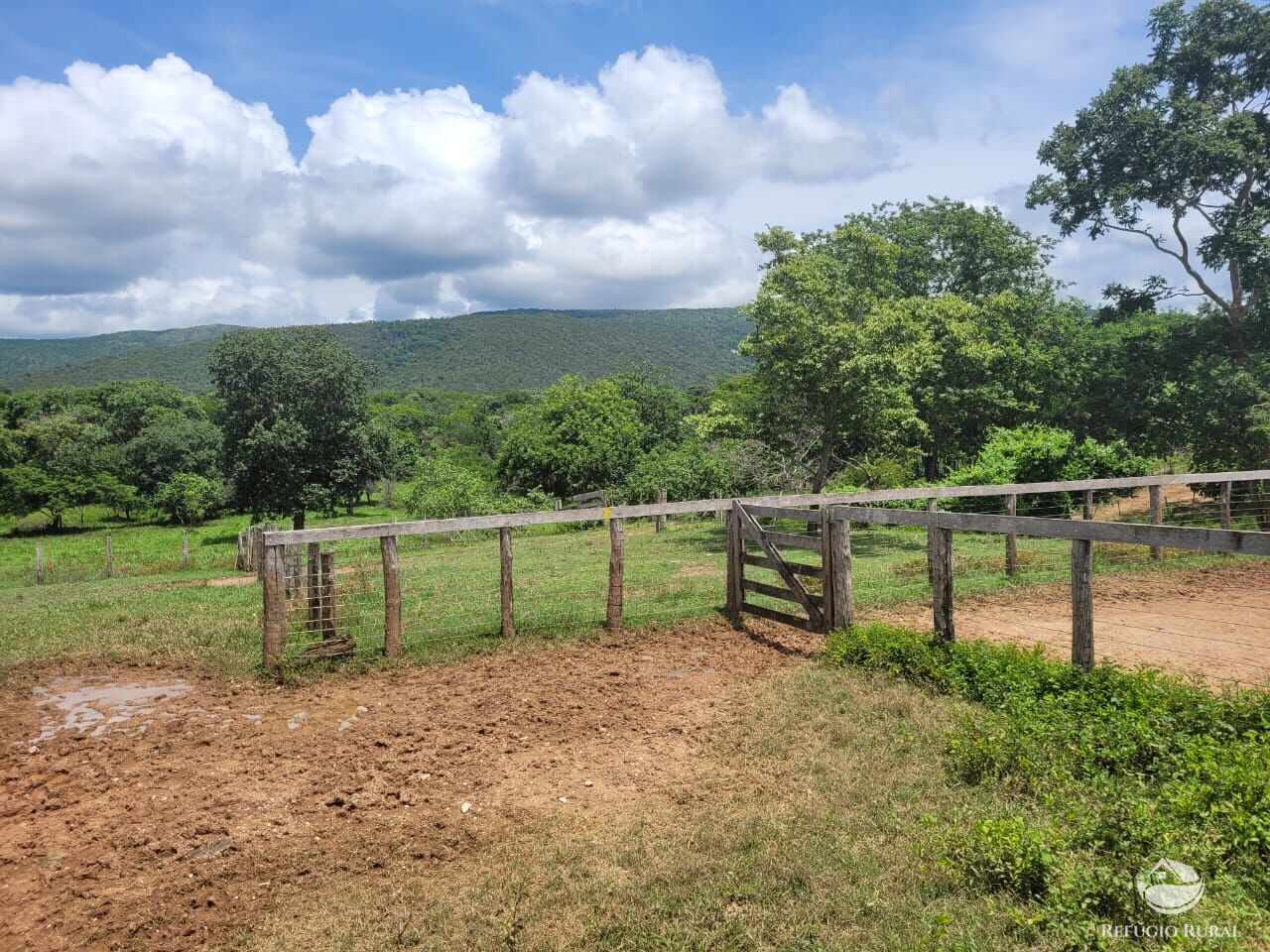 Fazenda à venda com 2 quartos, 15400000m² - Foto 14