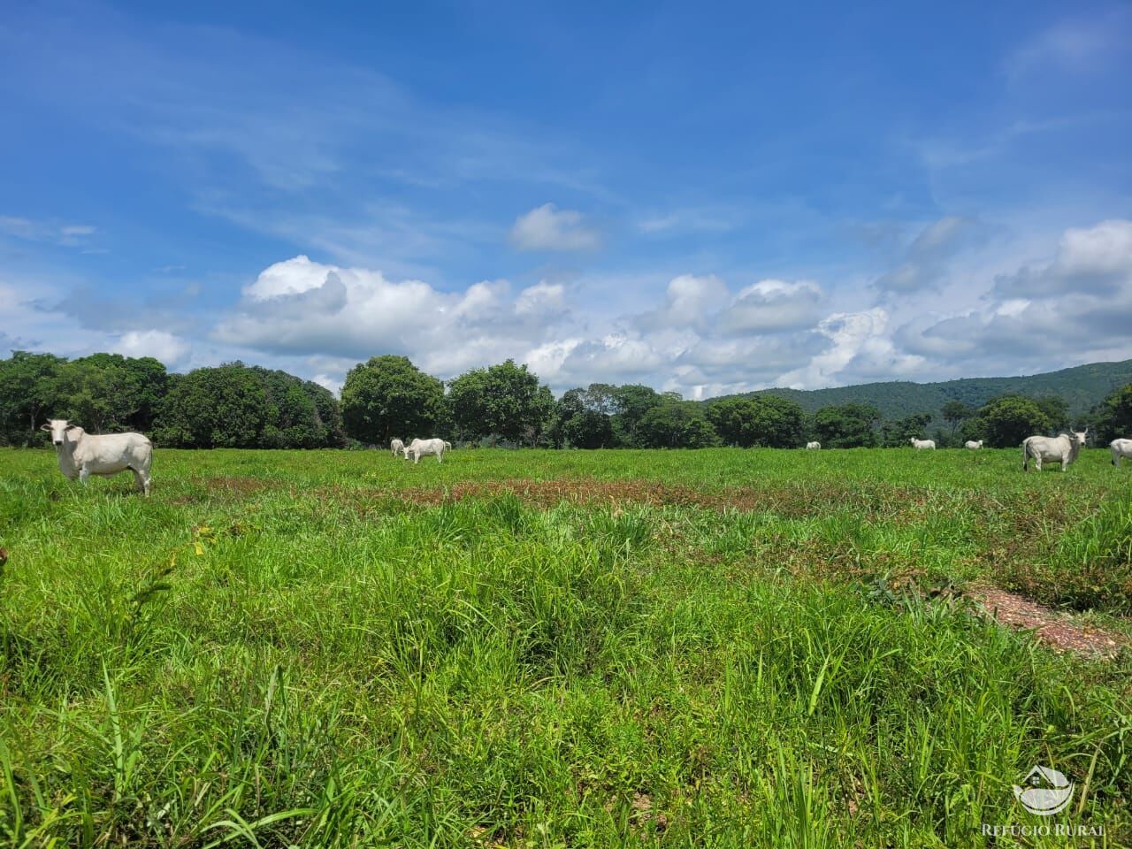 Fazenda à venda com 2 quartos, 15400000m² - Foto 21