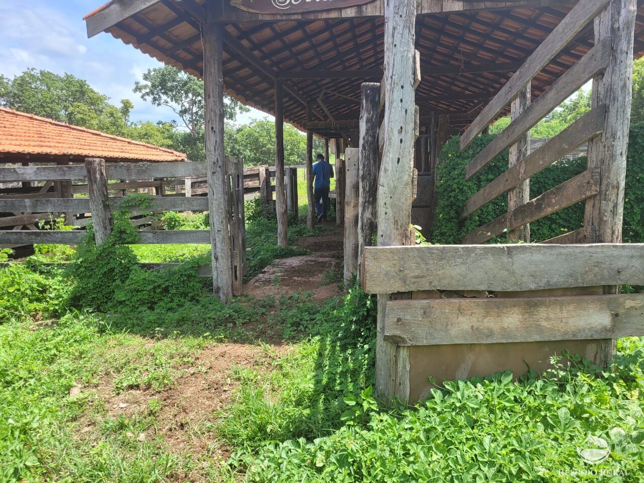 Fazenda à venda com 2 quartos, 15400000m² - Foto 9