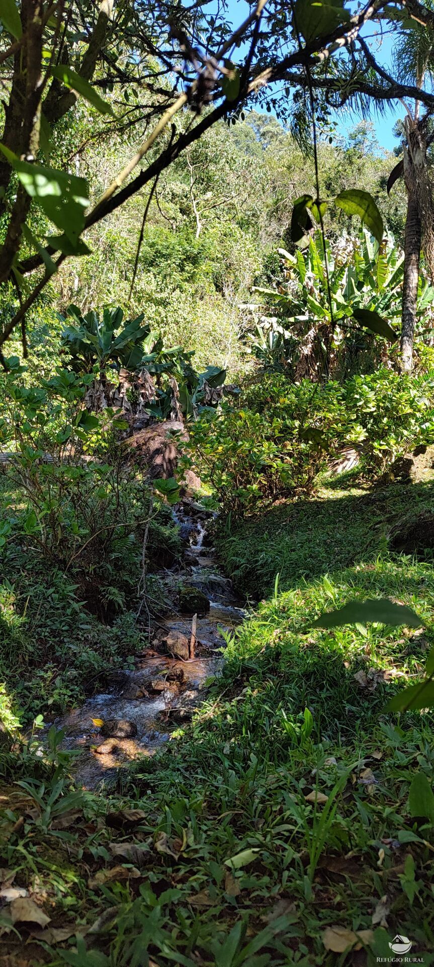 Fazenda à venda com 2 quartos, 18000m² - Foto 7