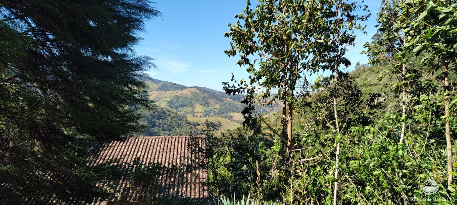 Fazenda à venda com 2 quartos, 18000m² - Foto 1