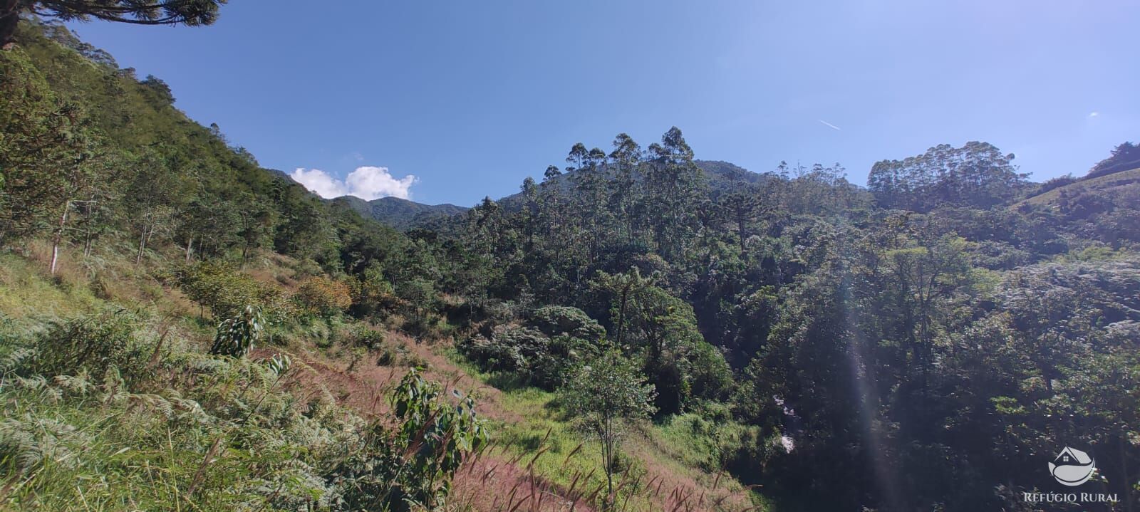 Fazenda à venda com 2 quartos, 18000m² - Foto 5