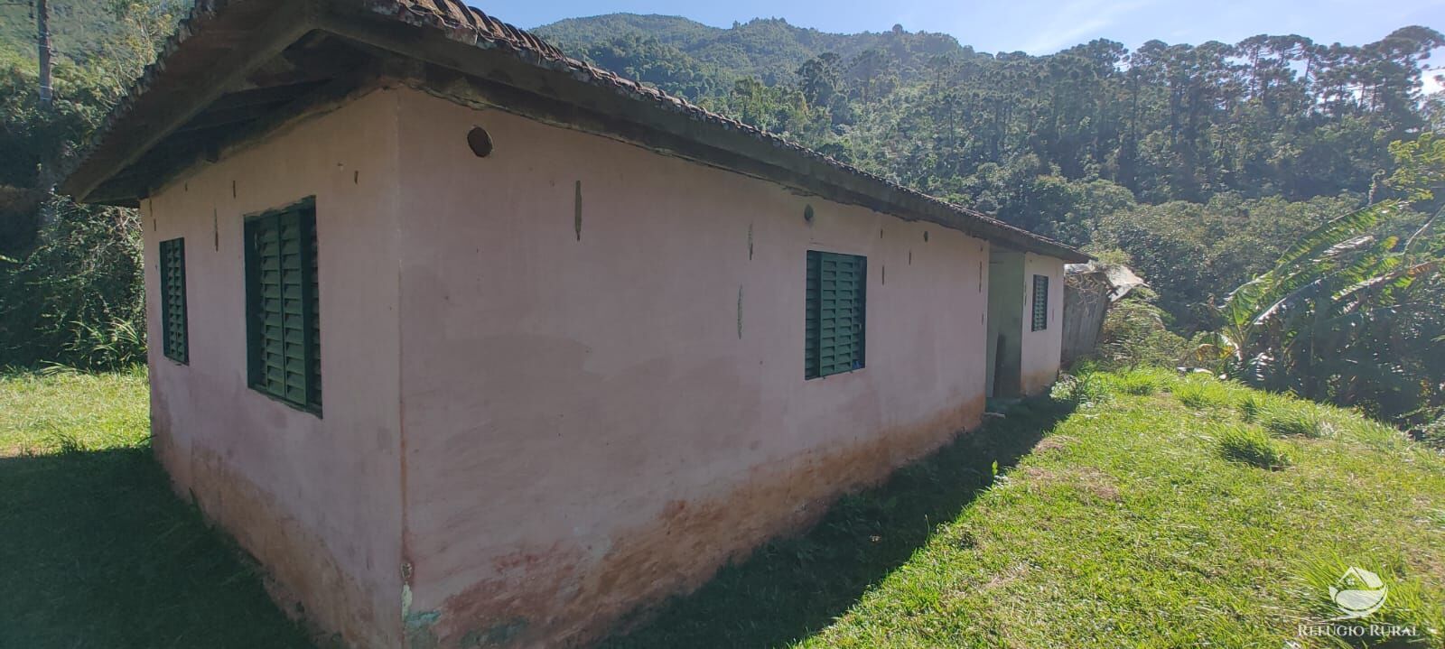 Fazenda à venda com 2 quartos, 18000m² - Foto 16