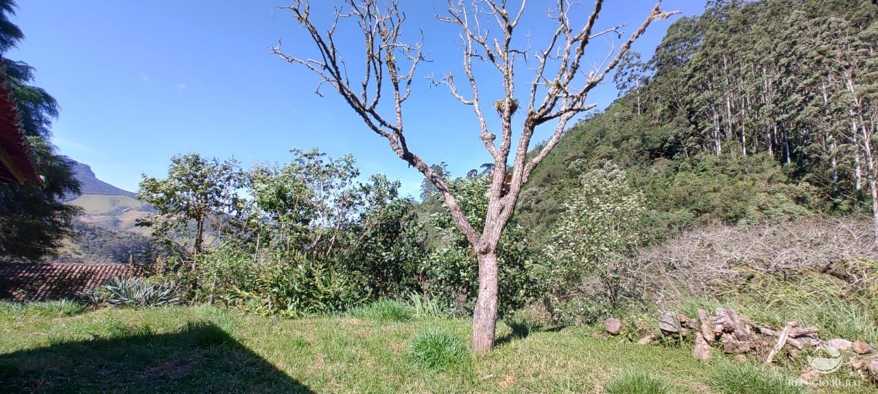 Fazenda à venda com 2 quartos, 18000m² - Foto 6