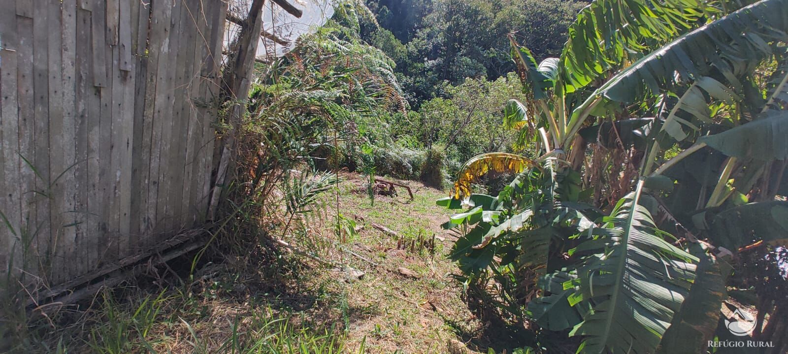 Fazenda à venda com 2 quartos, 18000m² - Foto 9