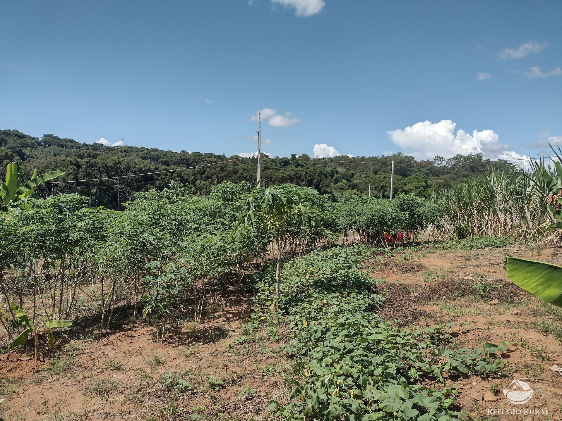 Terreno à venda, 500m² - Foto 2