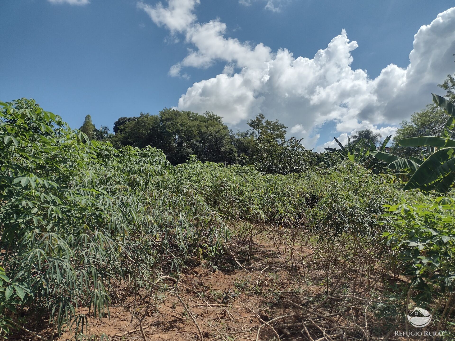 Terreno à venda, 500m² - Foto 5