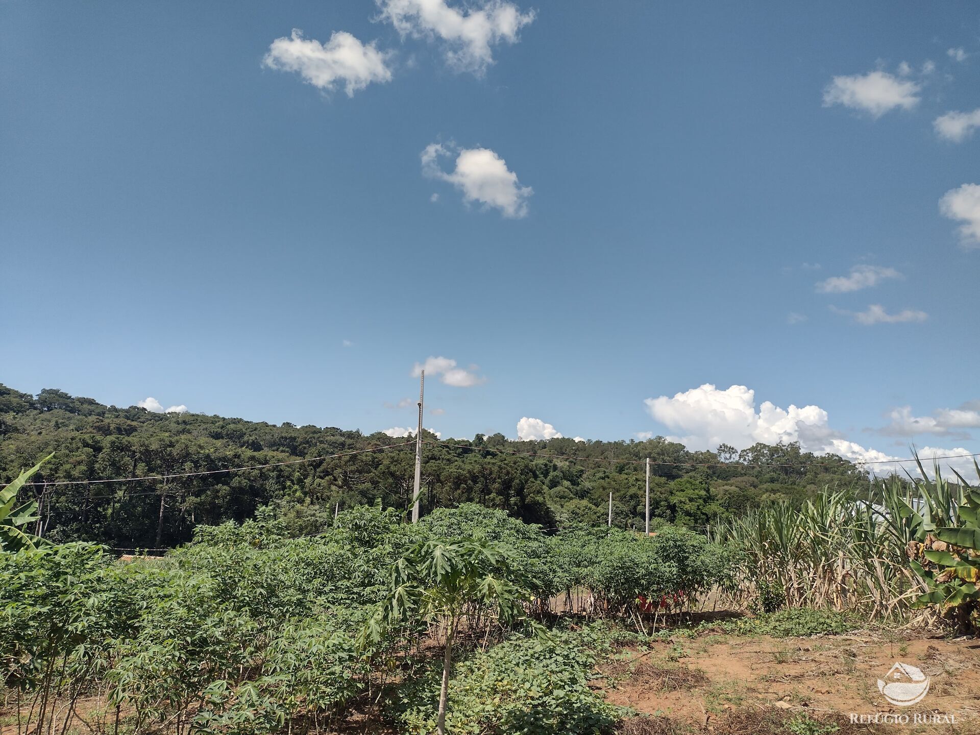 Terreno à venda, 500m² - Foto 4