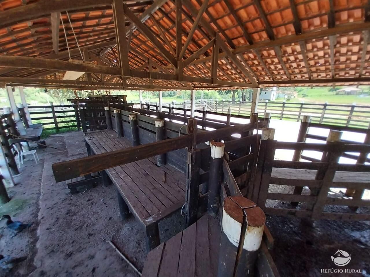 Fazenda à venda com 7 quartos, 4985200m² - Foto 19