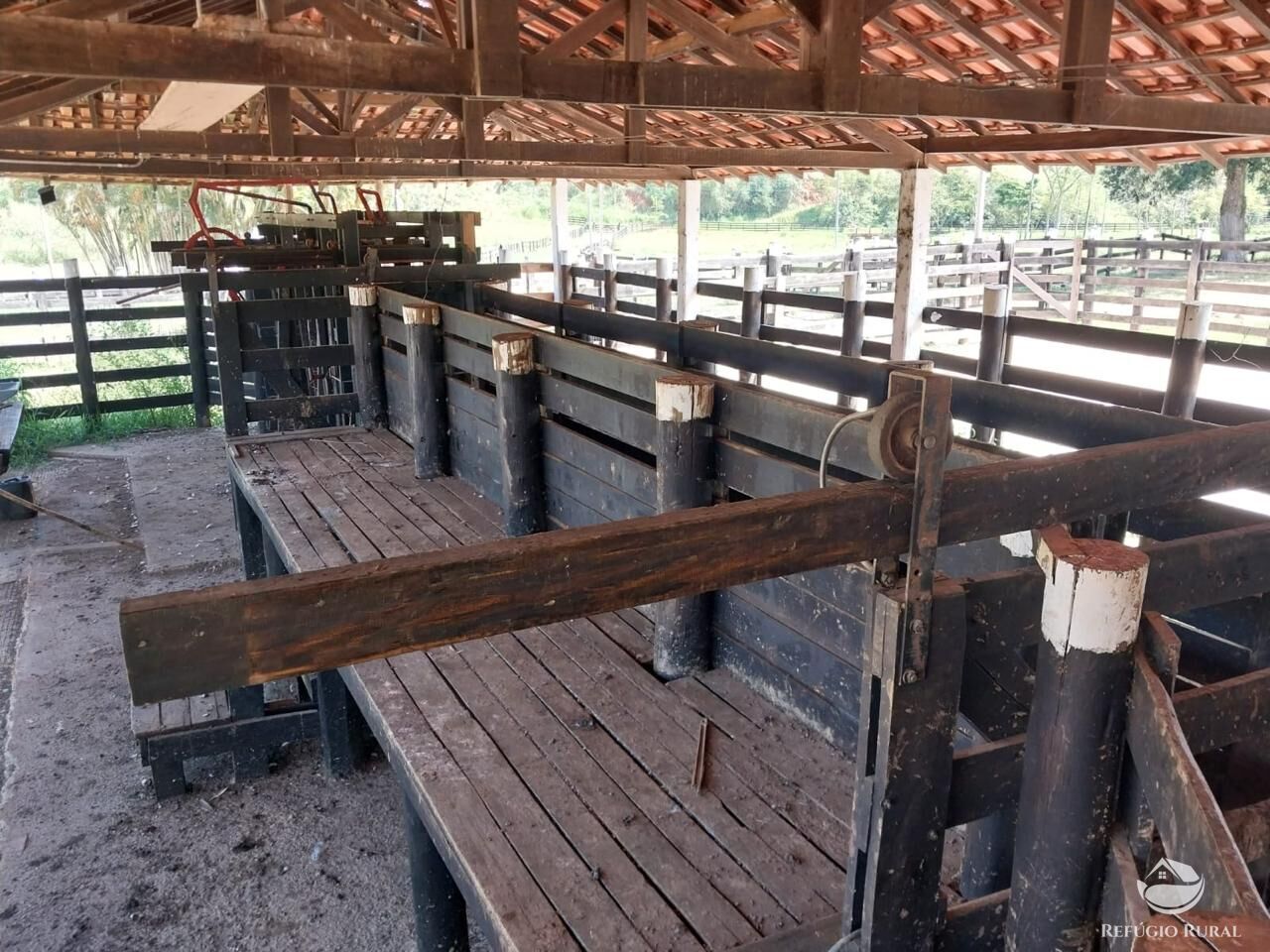 Fazenda à venda com 7 quartos, 4985200m² - Foto 23