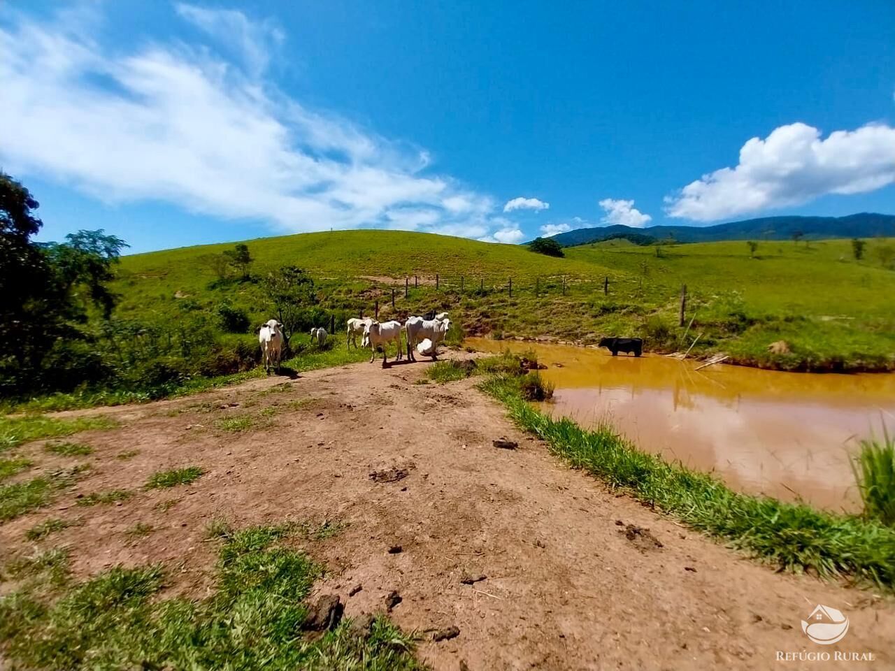 Fazenda à venda com 7 quartos, 4985200m² - Foto 11