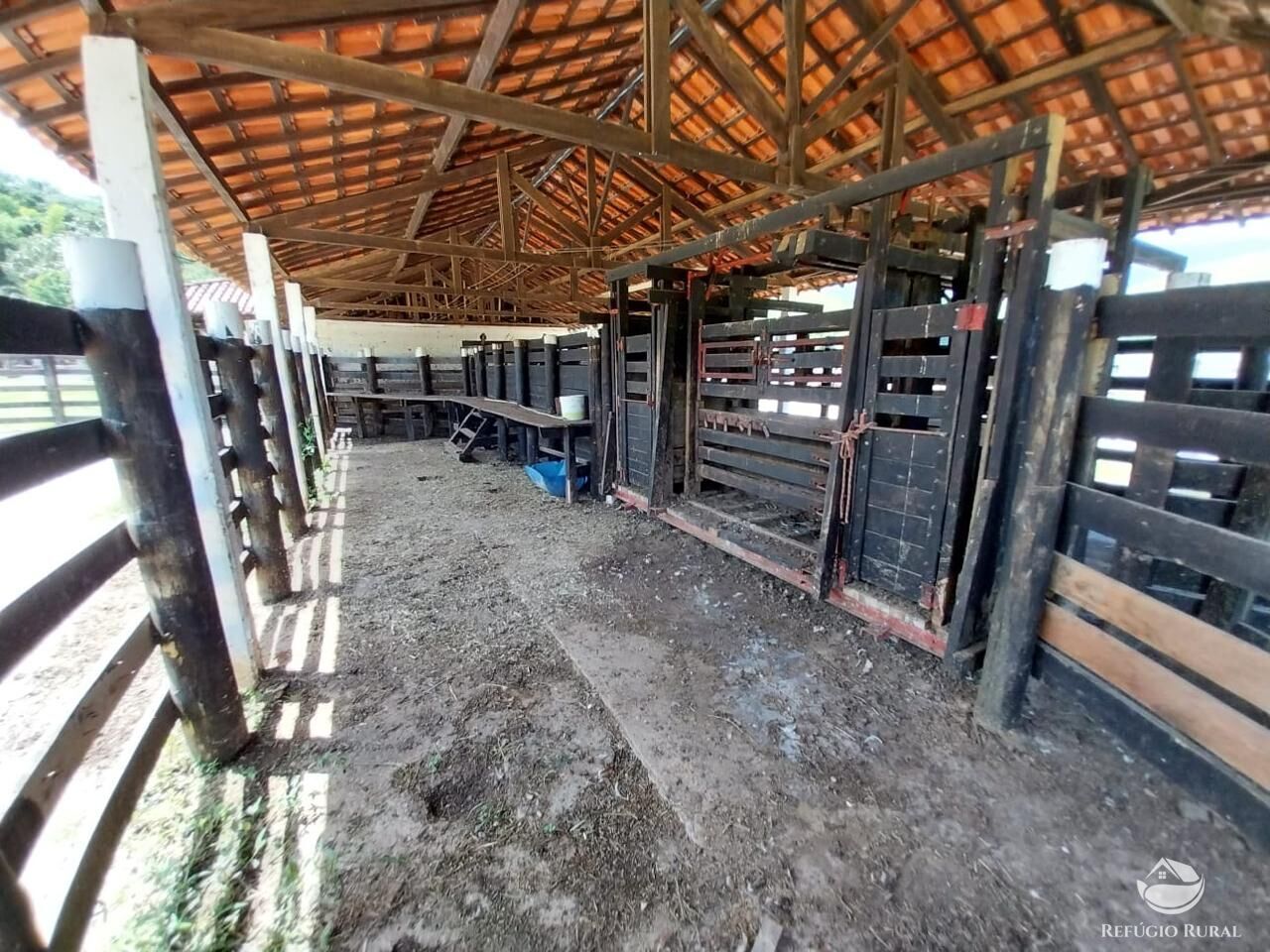 Fazenda à venda com 7 quartos, 4985200m² - Foto 15