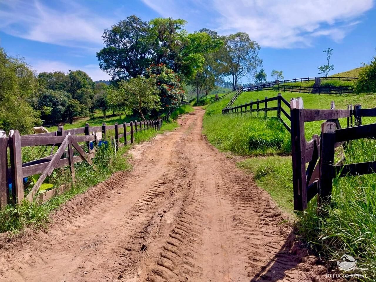 Fazenda à venda com 7 quartos, 4985200m² - Foto 12