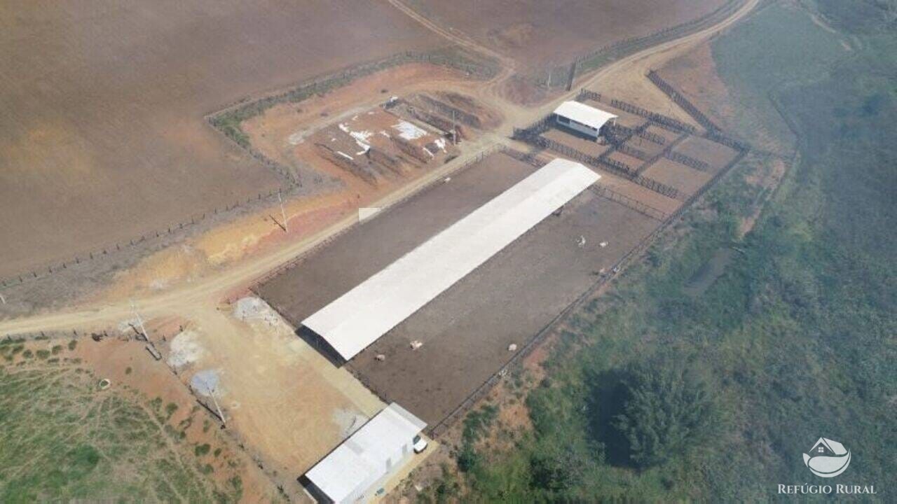 Fazenda à venda com 1 quarto, 2565200m² - Foto 1