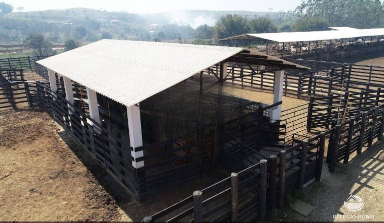 Fazenda à venda com 1 quarto, 2565200m² - Foto 3